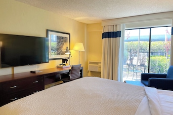 Room, 1 King Bed (Mobility/Hearing Access, Roll-in Shwr)
