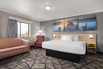 Deluxe Suite, 1 King Bed, Non Smoking (Deluxe Executive Suite)