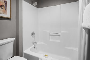 Deluxe Suite, 1 King Bed, Non Smoking (Deluxe Executive Suite)