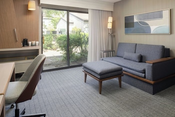 Room, 1 King Bed with Sofa bed