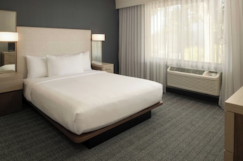 Suite, 1 King Bed with Sofa bed