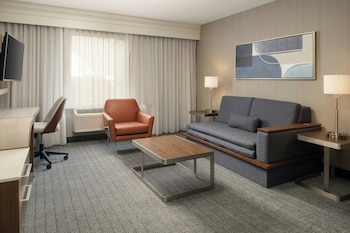 Suite, 1 King Bed with Sofa bed