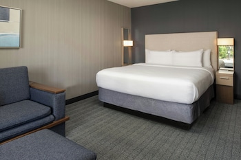 Room, 1 King Bed with Sofa bed