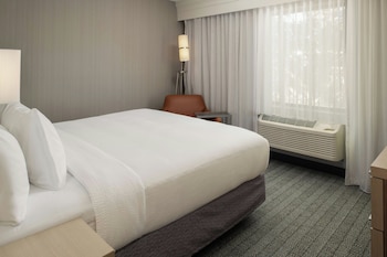 Suite, 1 King Bed with Sofa bed