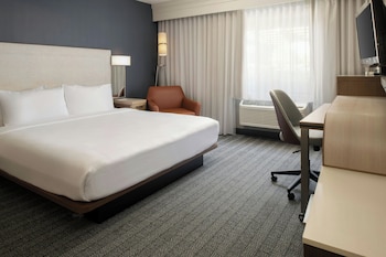 Room, 1 King Bed with Sofa bed
