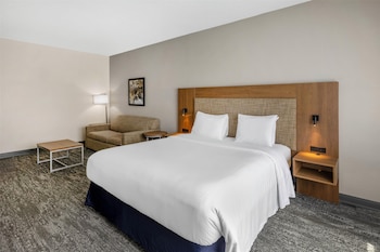 Standard Room, 1 King Bed, Non Smoking, Refrigerator & Microwave (with Sofabed)