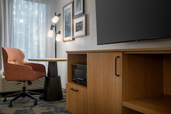 Room, 1 King Bed with Sofa bed