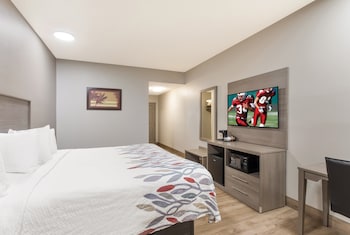 Superior Room, 1 King Bed, Non Smoking