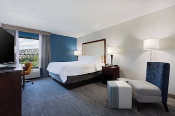 Suite, 1 King Bed, River View (Additional Living Area)
