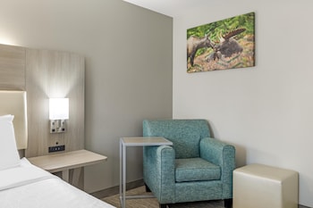 Standard Room, 1 Queen Bed, Accessible, Non Smoking