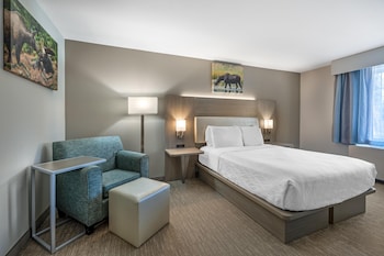 Standard Room, 1 Queen Bed, Accessible, Bathtub