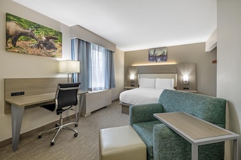 Standard Room, 1 Queen Bed, Non Smoking, Refrigerator & Microwave