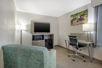 Standard Room, 1 Queen Bed, Non Smoking, Refrigerator & Microwave