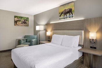 Standard Room, 1 Queen Bed, Accessible, Bathtub