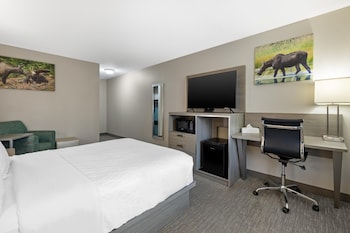 Standard Room, 1 Queen Bed, Accessible, Non Smoking