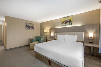 Standard Room, 1 King Bed, Non Smoking, Refrigerator & Microwave