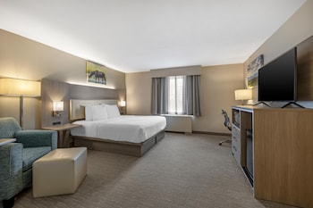 Standard Room, 1 King Bed, Non Smoking, Refrigerator & Microwave