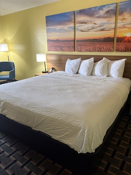 Room, 1 King Bed, Non Smoking