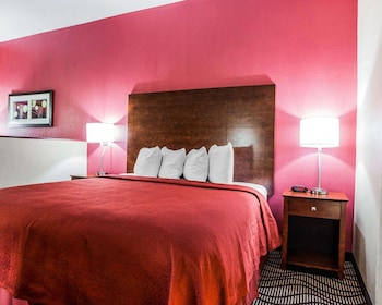 Suite, 1 King Bed with Sofa bed, Non Smoking