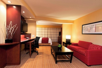 Suite, 1 King Bed with Sofa bed