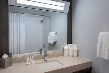 Suite, 1 King Bed with Sofa bed