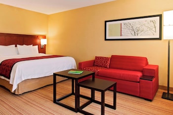 Room, 1 King Bed with Sofa bed (Mobility/Hearing Access, Roll-in Shwr)