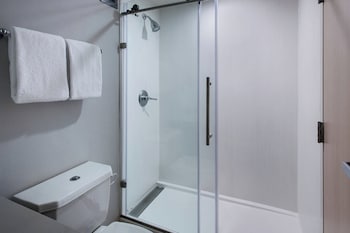Suite, 1 King Bed with Sofa bed