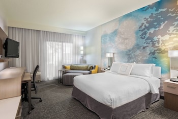 Room, 1 King Bed with Sofa bed