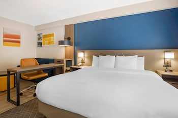 Suite, 1 King Bed with Sofa bed, Non Smoking