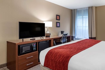 Room, 1 King Bed, Accessible, Non Smoking (Roll-in Shower, 1st Floor)