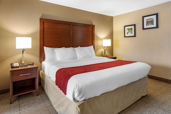Business Suite, 1 King Bed