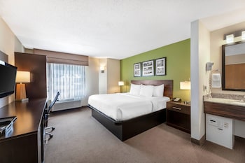 Standard Room, 1 King Bed, Non Smoking