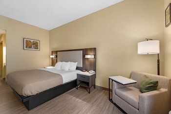 Standard Room, 1 King Bed, Non Smoking