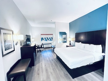 Room, 1 King Bed, Accessible, Non Smoking (Mobility, Tub w/ Grab Bar)