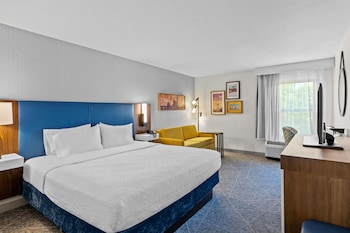 Room, 1 King Bed with Sofa bed, Microwave