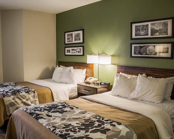 Standard Double Room, 2 Double Beds, Non Smoking