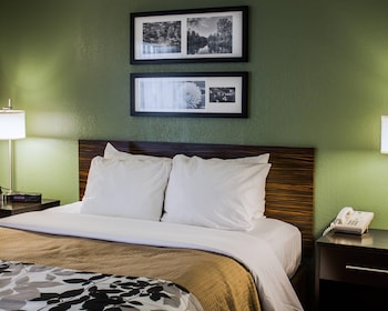 Standard Room, 1 Queen Bed, Accessible, Non Smoking