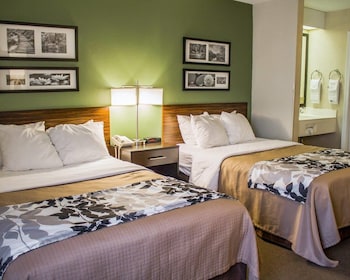 Standard Double Room, 2 Double Beds, Non Smoking