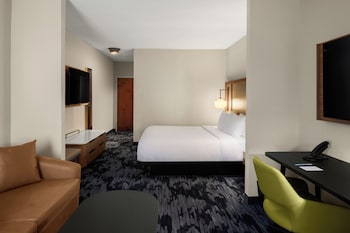 Suite, 1 King Bed with Sofa bed