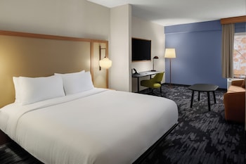 Suite, 1 King Bed with Sofa bed