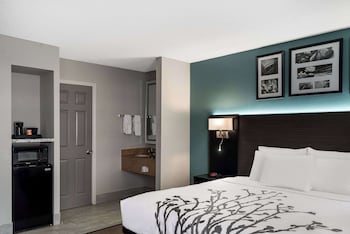 Room, 1 King Bed, Non Smoking