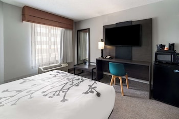 Room, 1 Queen Bed, Non Smoking