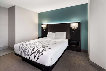Room, 1 Queen Bed, Accessible, Non Smoking (Accessible Tub)