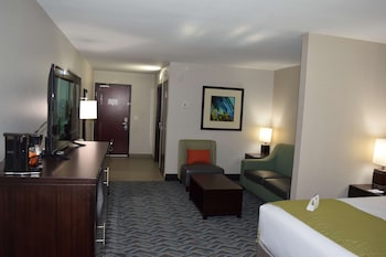 Suite, 1 King Bed with Sofa bed, Non Smoking, Refrigerator & Microwave (with Sofabed)