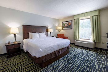 Room, 1 King Bed with Sofa bed (Large Room, Shower Only)
