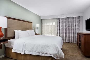 Suite, 1 Bedroom, Non Smoking