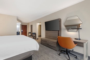 Suite, 1 King Bed with Sofa bed (1 King Bed, Living Area)