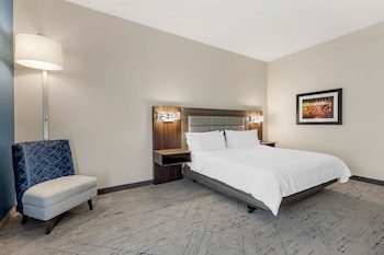 Standard Room, 1 King Bed, Accessible (Mobility, Roll-In Shower)