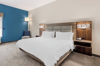 Standard Room, 1 King Bed, Accessible (Mobility, Roll-In Shower)