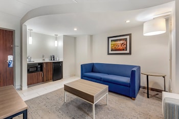 Suite, 1 King Bed with Sofa bed